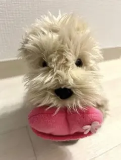 2026年最新】アインシュタインUSJの人気アイテム - メルカリ