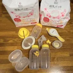 medela メデラ 手動搾乳機 ハーモニー 母乳搾乳機 色々おまけ付き