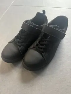 Item thumbnail for item 4c608b6d-3684-4cd4-b8aa-9a9fb1c24540