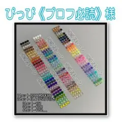 ぴっぴ《プロフ必読》様