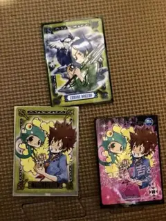 家庭教師ヒットマンREBORN！ CCG PR 沢田綱吉＆リボーン　カード　3枚