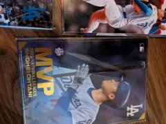 大谷翔平 55号 HR 記念 フォトパネル ロサンゼルス・ドジャース