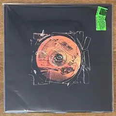 Tempalay 21世紀より愛をこめて LP - メルカリ