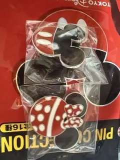 東京ディズニーリゾート ピンバッジ 2種セット　ミッキー•ミニーのサムネイル