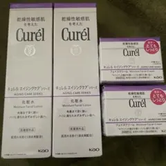 Curél エイジングケアシリーズ セット