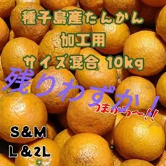 種子島産たんかん混合(S~2L)★加工用10kg