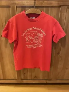【90s USA製】チビT1994年 Hanes フルーツプリント Tシャツ 赤のサムネイル