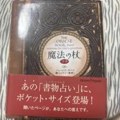 Item thumbnail for item b4ff9462-6c2c-42fc-82d1-5b91edbe30c3