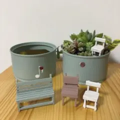 (オーダーメイド)多肉植物　寄せ植え　そのまま飾れる