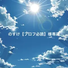 のすけ【プロフ必読】様専用