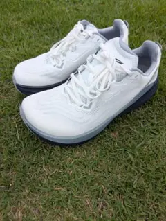 Item thumbnail for item f3e0df26-c29a-4df4-b146-2d8349f14ecb