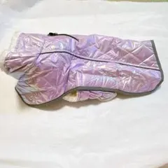 Item thumbnail for item 8bf9f481-2107-436e-a173-e5aa7906fd3a