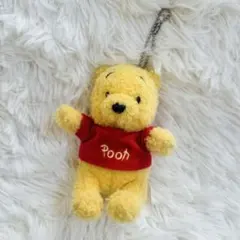 【美品】くまのプーさん　キーホルダー　ぬいぐるみバッジ　ディズニーランド