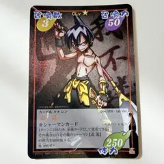 シャーマンキング超・占事略決 道蓮 スペシャル GB Ver.