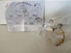 うちの子のけだまだま 黒柴 未開封品