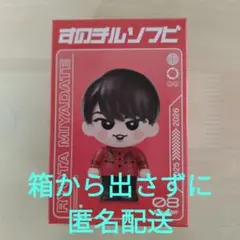 SnowMan　すのチル　ソフビ　宮舘涼太