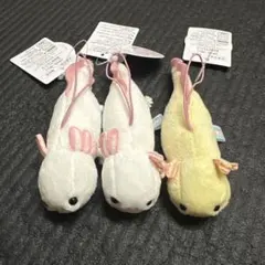 うぱちょす るんるん 2種3個セット AMUFUN