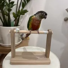 Item thumbnail for item 1ca87195-dbf3-4f23-9b92-453173c3599b