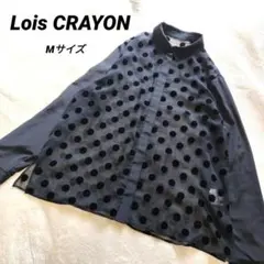 Lois CRAYON　フロッキードットブラウス　シアー　異素材　前開き　Мのサムネイル