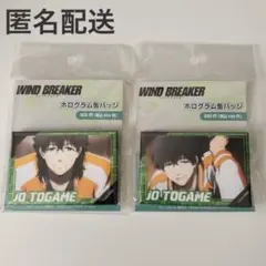 ウィンドブレイカー ウィンブレ 獅子頭連 十亀条 ホログラム缶バッジ