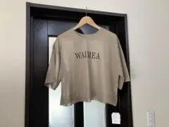 お値下げ　ブギウギにて購入　クロシェcloche シアーニット　tシャツ