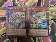 【本日限り値下げ】遊戯王　白き森のリゼット　英語　シク 本日限り値下げ】遊戯王 白き森のリゼット 英語 シク - メルカリ