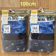 ボクサーブリーフ ボクサーパンツ 下着 男児 2枚組 × 2セット 100cm