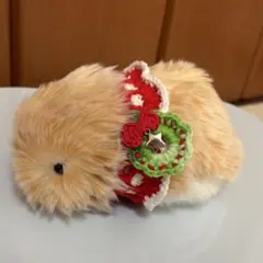 モフリン クリスマスケープ②