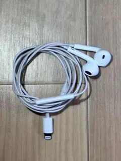 Apple EarPods ライトニング