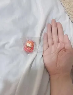 このわた(まとめ買い歓迎)様 リクエスト 2点 まとめ商品