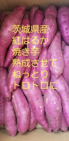 蜜芋　新物20キロ茨城県紅はるか通常S&2Sメイン　サツマイモ減農薬栽培