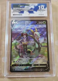 2026年最新】Pokemon Card Game カード名：ジャローダV ポケモンカード