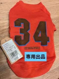 Item thumbnail for item 6cc84219-0eb6-4a9c-bd49-03e91bf65bd2