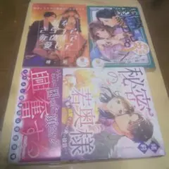 秘密の若奥様 等TL小説3冊セット 緒莉作品