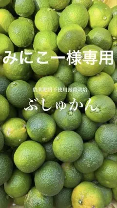 みにこー様専用農薬肥料不使用露路栽培、箱込1〜1.2kgぶしゅかん