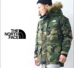 Item thumbnail for item 16686ca8-ffad-4a91-893a-433335052937