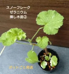 user_0e67a516様 リクエスト 6点 まとめ商品 - メルカリ