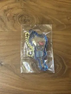 琵琶湖キーホルダー インターハイ アクリルキーホルダー 5色セット