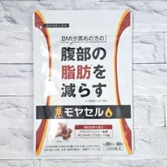 Item thumbnail for item 9dcdaff2-b04f-4c3c-8ec7-2d3c6d5e0c90