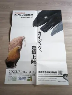 Item thumbnail for item 4496d99a-43cd-4a81-8c5f-bd5a05f97a1c