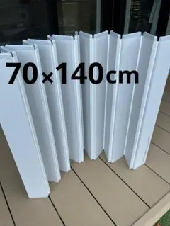 Item thumbnail for item 5a5c4f6c-c24c-4a8d-9c09-e36b84329f47