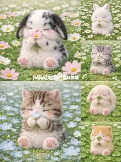 2026年最新】猫パネル生地の人気アイテム - メルカリ