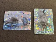 神戸須磨シーワールド コレクションカード イルカSR とシャチ レア 3枚