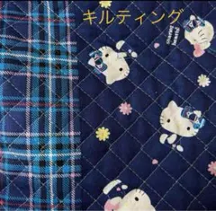 Item thumbnail for item af6163bc-4ee5-41dc-bb51-e4dfac0ec4d1