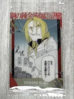 2026年最新】エドワード・エルリック カードの人気アイテム - メルカリ