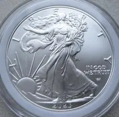 2025年最新】ウォーキングリバティの人気アイテム - メルカリ