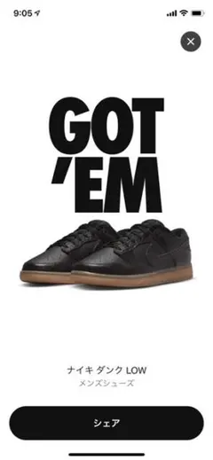 NIKE Dunk Low Velvet Brown and Black