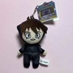 土井先生　忍たま乱太郎　ぬいぐるみ　マスコット　最強の軍師　A