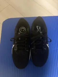 Nike ペガサス40 23.5cm