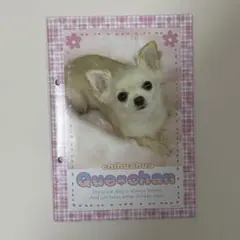 Item thumbnail for item bc11e91c-0b08-47b5-bb0b-1ebc9e232ac3